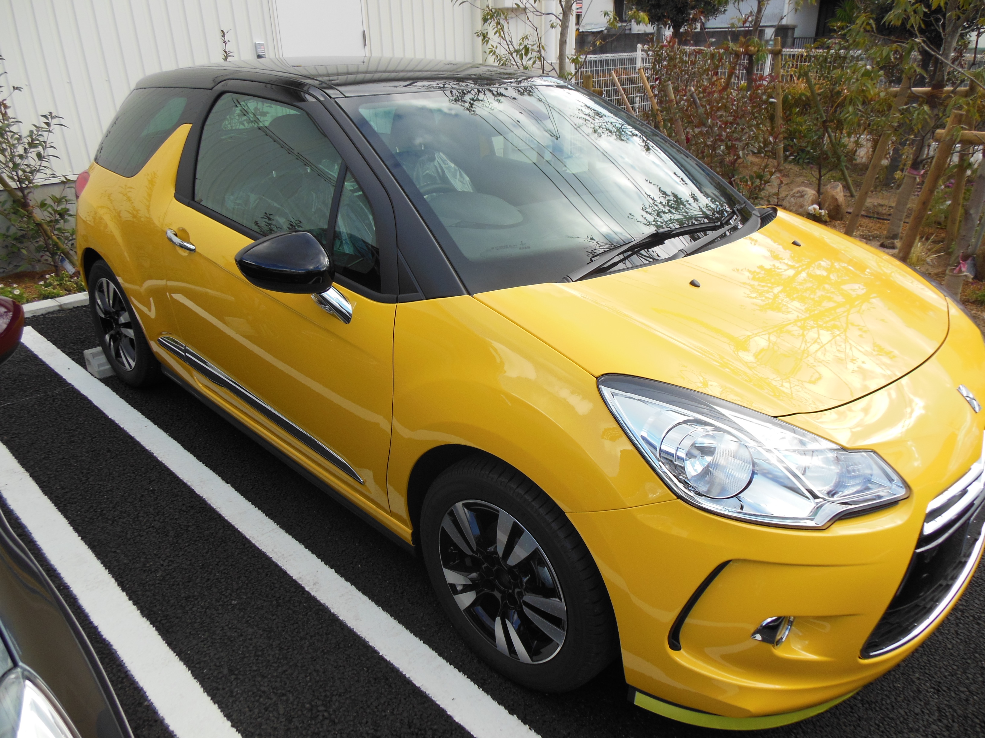 新車情報