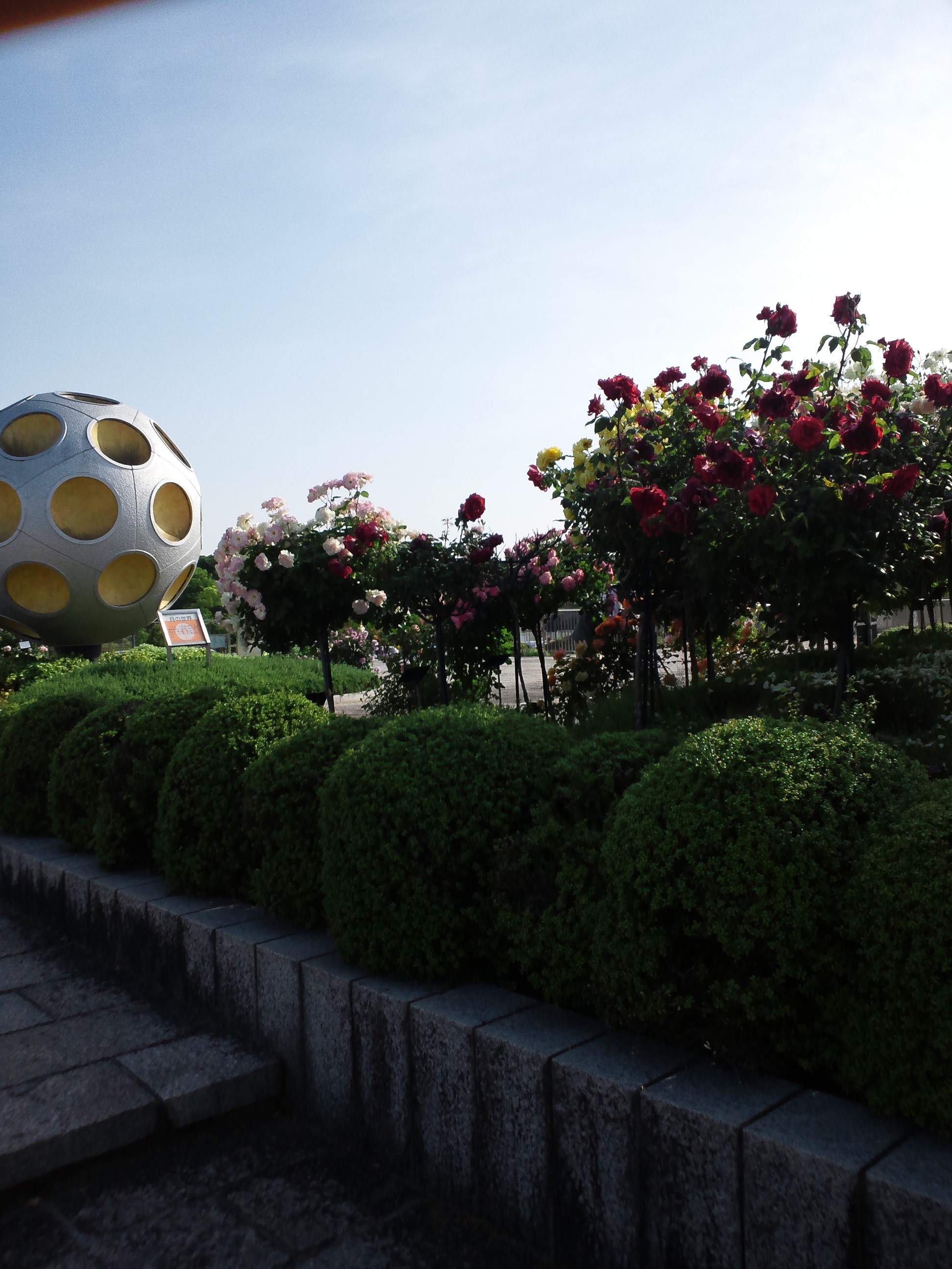 ローズフェスタ!!　in 万博記念公園