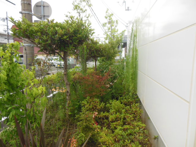 8月ですね。毎月1日はお店を綺麗にする日!!　