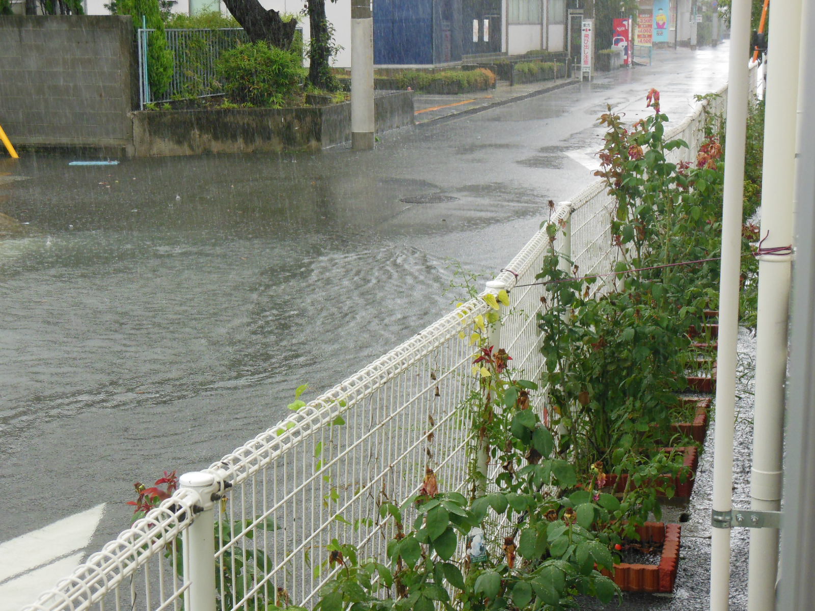 豪雨