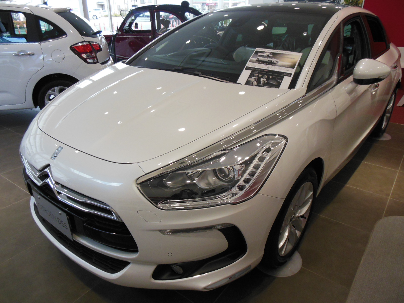 DS5 White Melodie　まだ１台あります