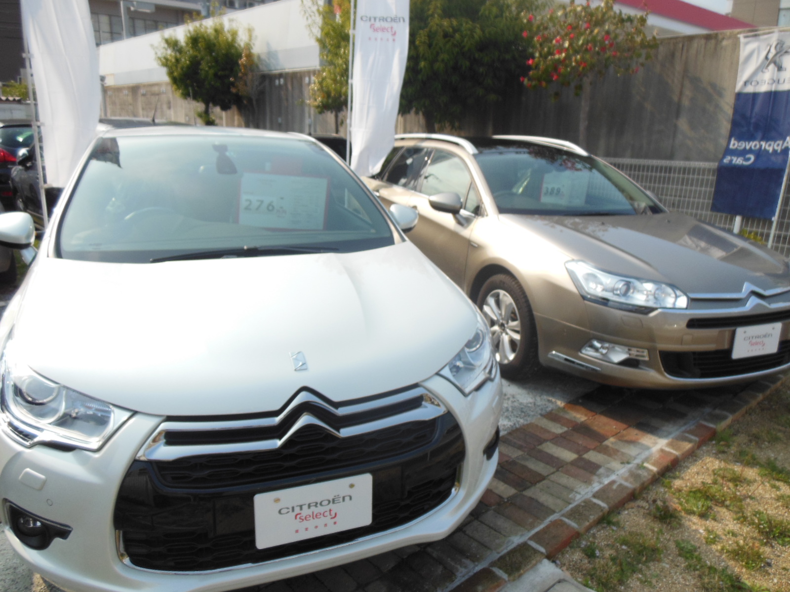 認定中古車
