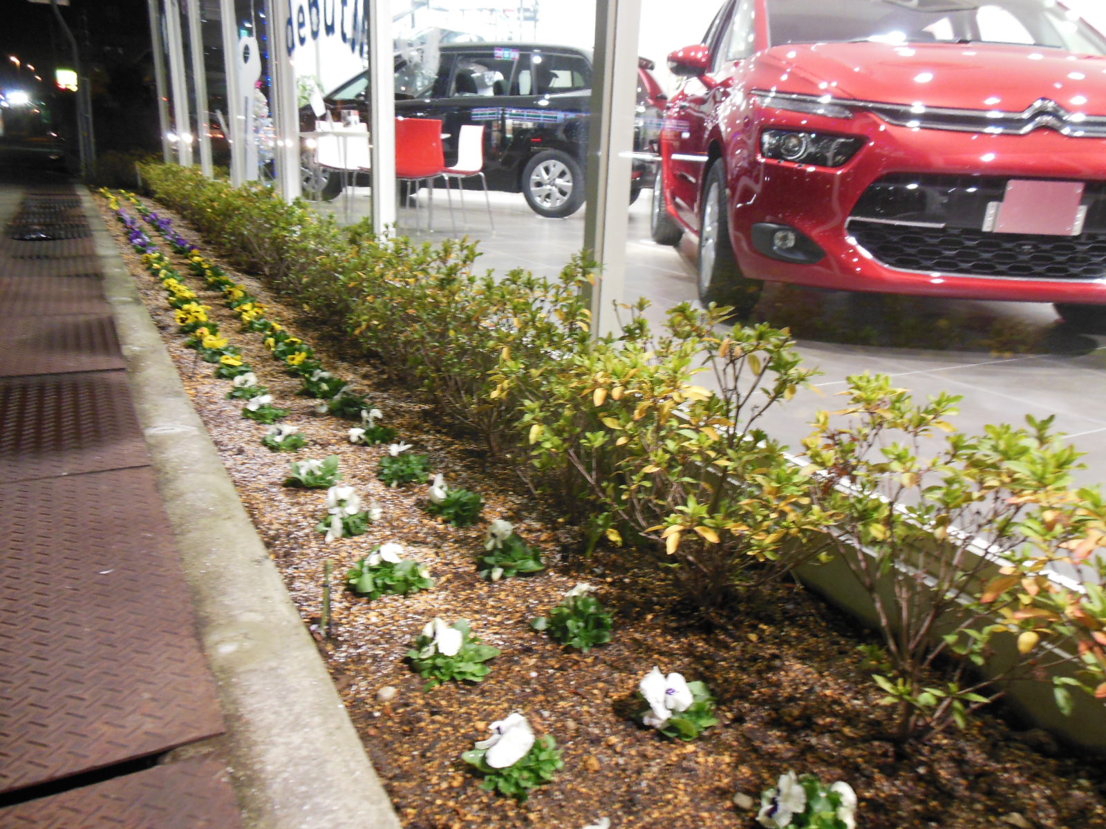 お花の植え替えの季節！！