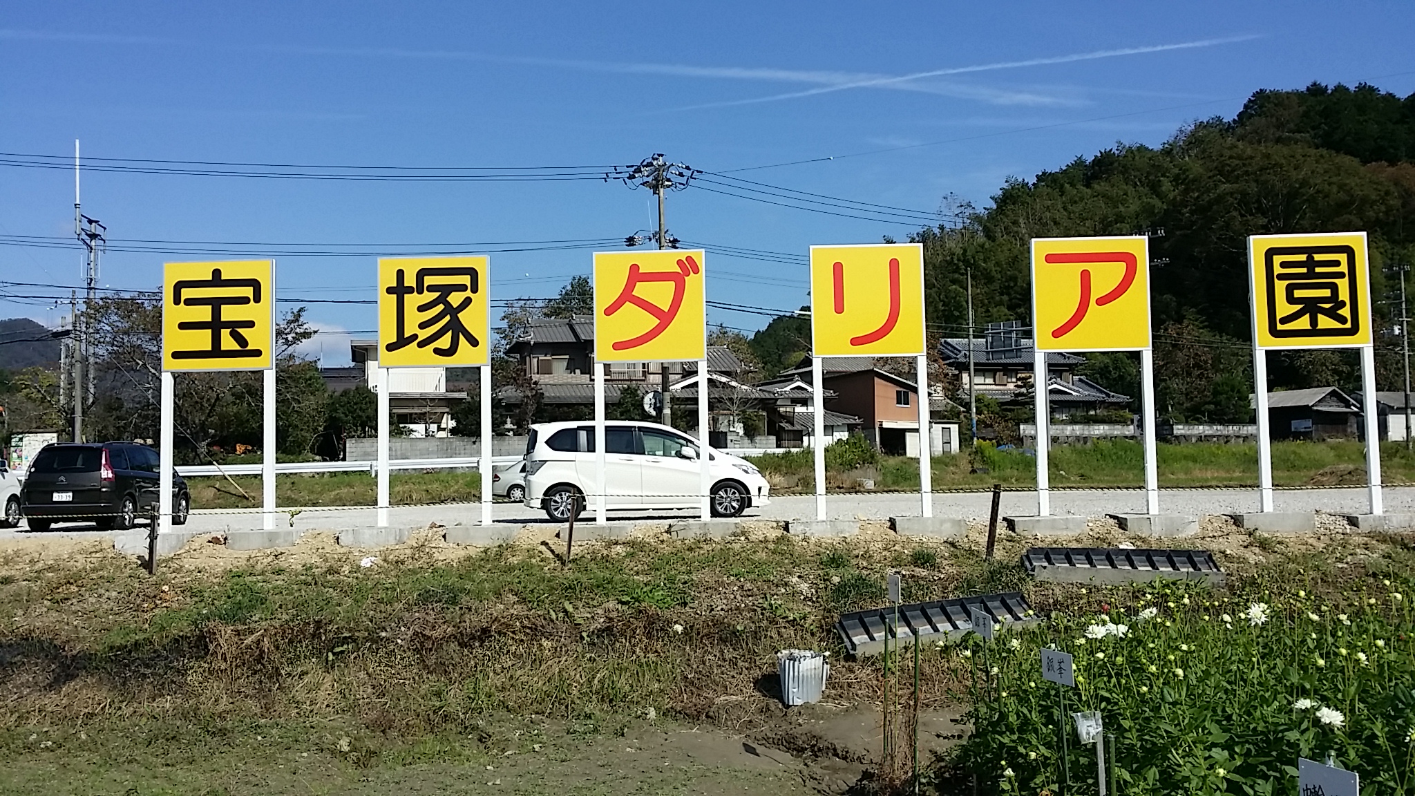 宝塚　ダリア園とコスモス畑