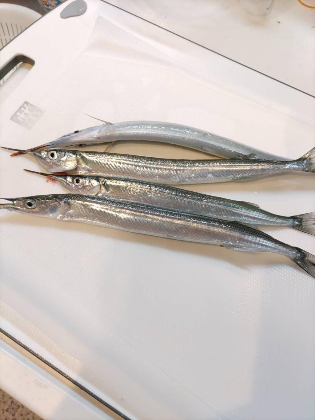 趣味のお話