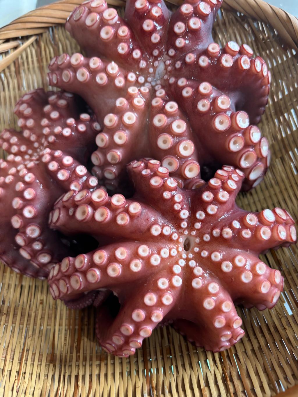 趣味のお話④