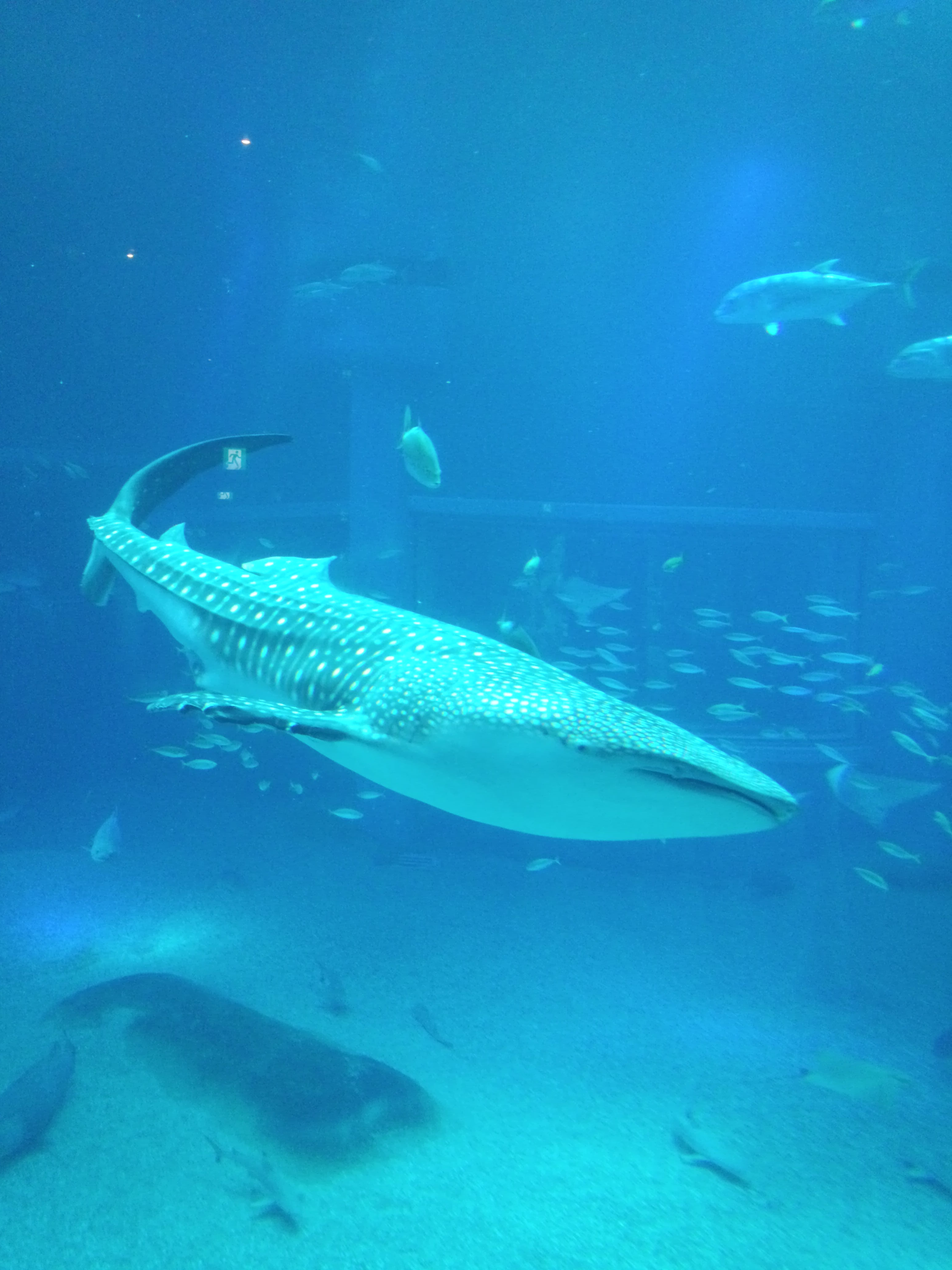 ☆水族館☆