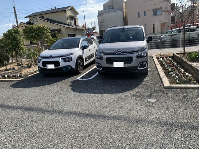 ショールーム前、花壇が華やかになりました