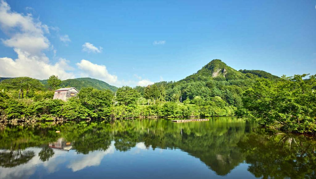 夏季休業のお知らせ